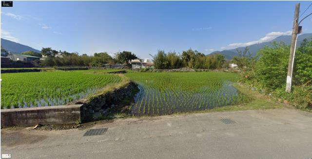 花蓮富里農地法拍-0