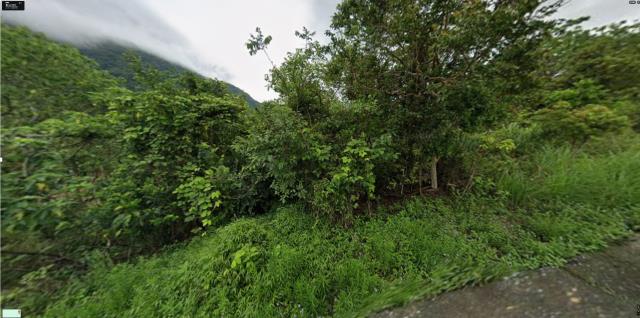 花蓮富里農地法拍-0