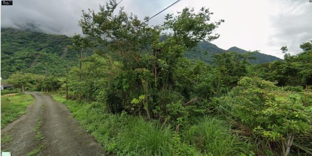 花蓮富里農地法拍-4