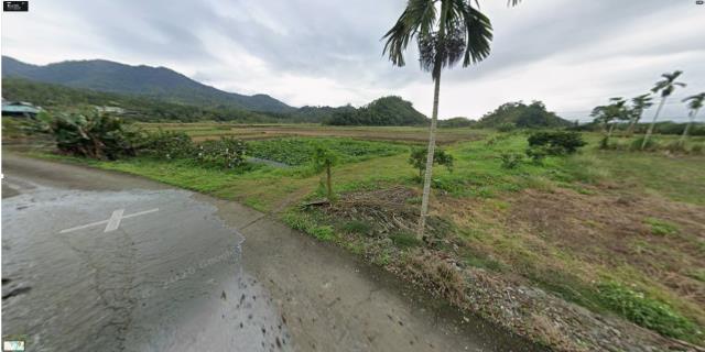 鳳林拍賣農地-4