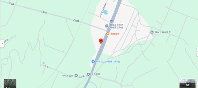 鳳林農地法拍-5