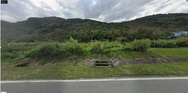 豐濱農地拍賣-0