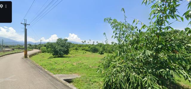 雲林法拍農地-2