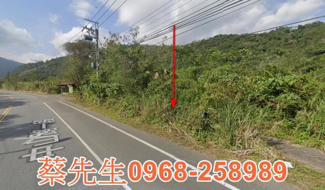 花蓮壽豐法拍農地-11