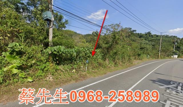 花蓮壽豐法拍農地-13