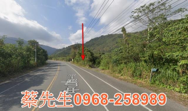 花蓮壽豐法拍農地-4