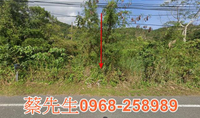 花蓮壽豐法拍農地-8