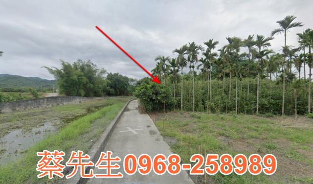 花蓮光復法拍農地-11