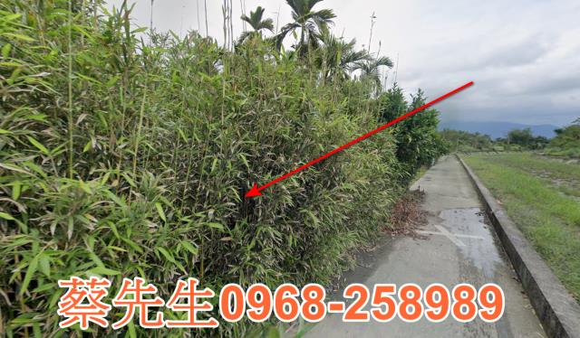 花蓮光復法拍農地-12