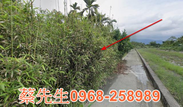 花蓮光復法拍農地-14