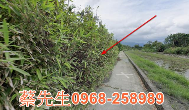 花蓮光復法拍農地-5
