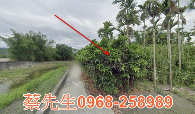 花蓮光復法拍農地-8