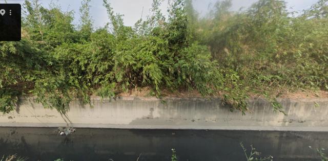 雲林農地法拍-1