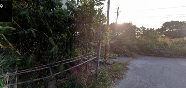 雲林農地法拍-2