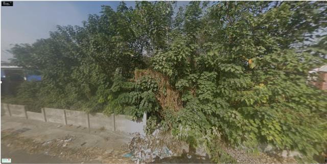 彰化芳苑法拍建地-7