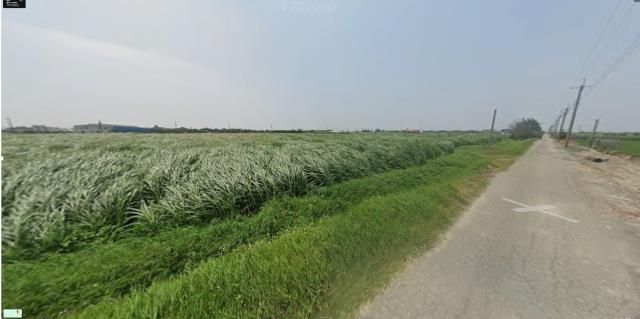 彰化芳苑法拍農地-3
