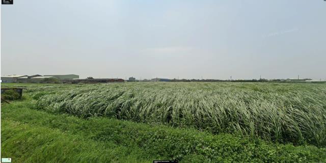 彰化芳苑法拍農地-7