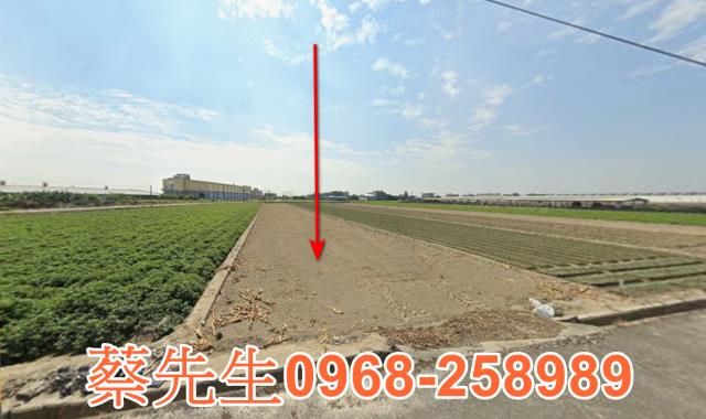 雲林元長農地法拍-0