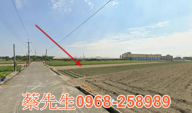 雲林元長農地法拍-6