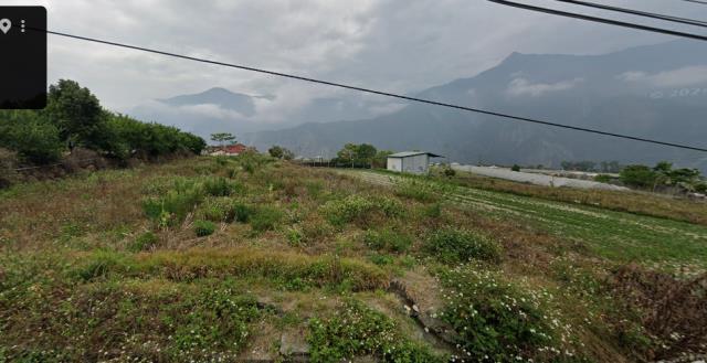 南投信義鄉農地拍賣-7