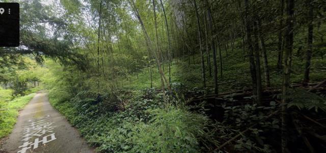 竹山法拍農地-10