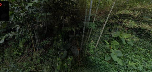 竹山法拍農地-0