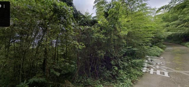 竹山法拍農地-3