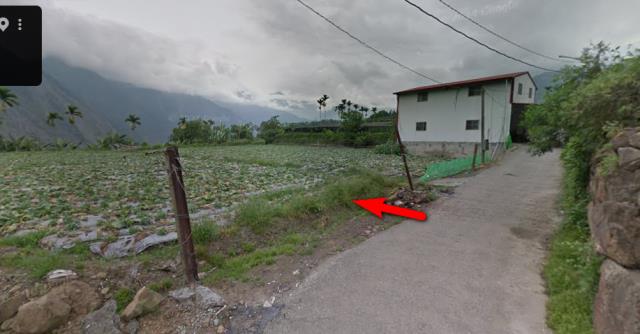 信義鄉法拍農地-1