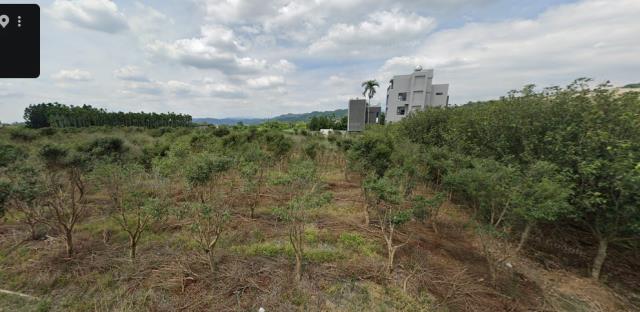 名間法拍農地-7