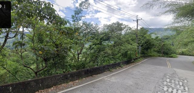 阿里山法拍林地-10