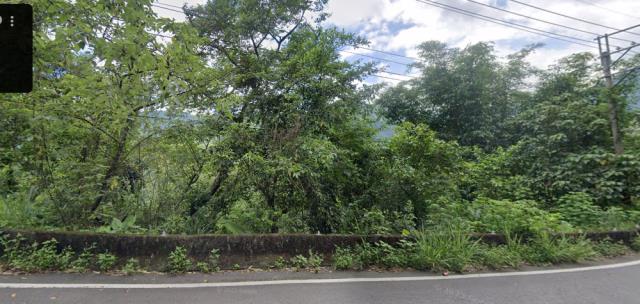 阿里山法拍林地-0