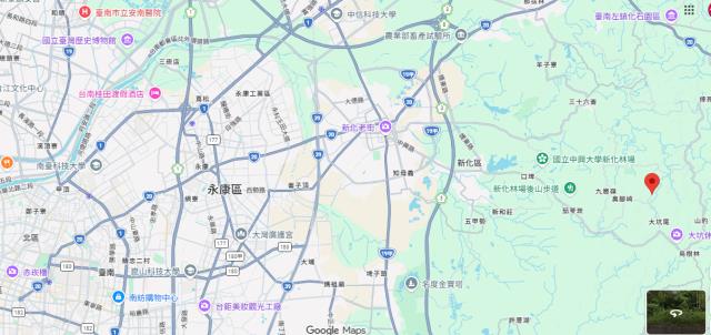 新化法拍林地-13