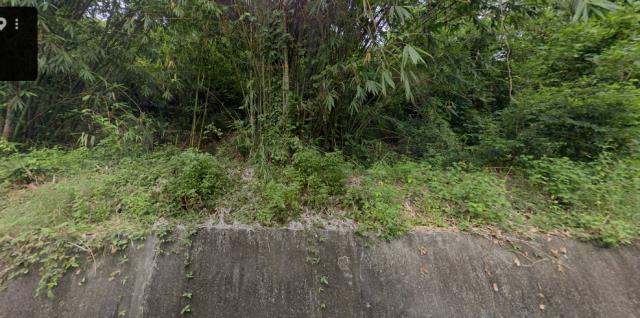 新化法拍林地-7