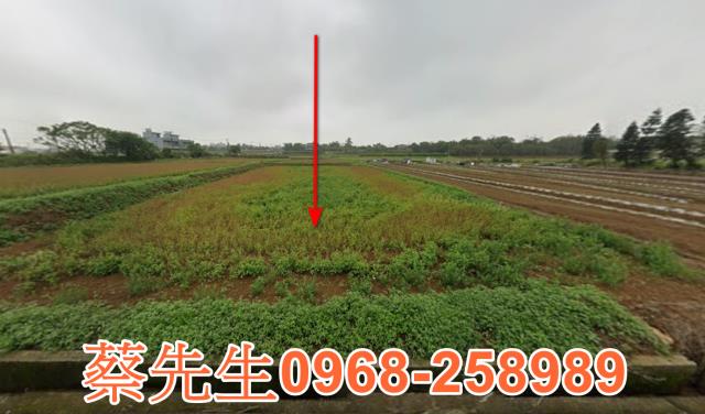 桃園農地拍賣-0