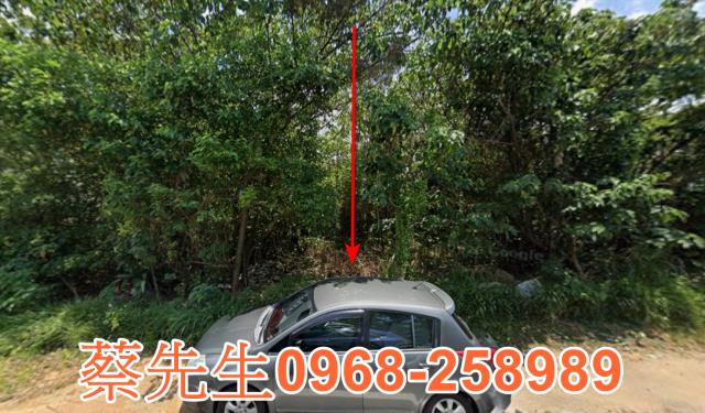 桃園平鎮農地法拍-0