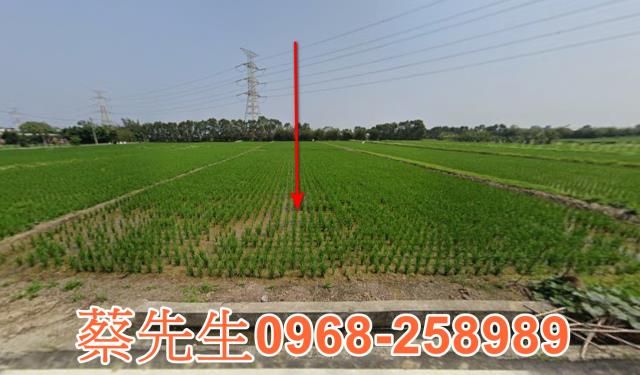 桃園新屋農地拍賣-0