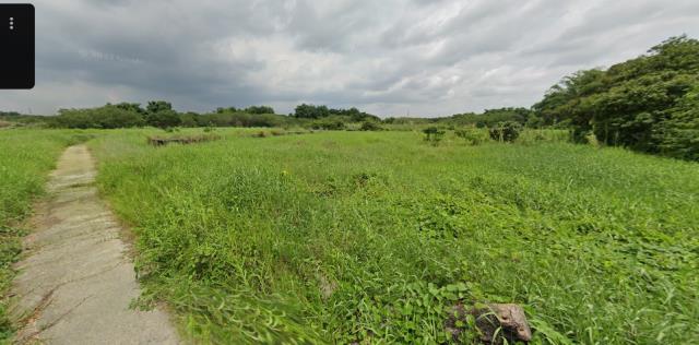 台南新市法拍農地-9
