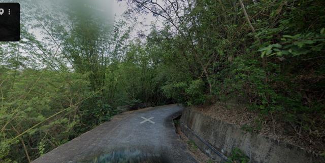 田寮法拍林地-2