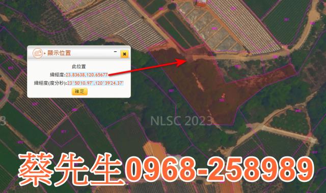 南投農地法拍-2
