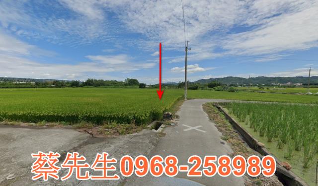 南投農地法拍-5