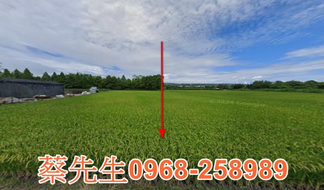 南投農地法拍-8