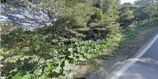 淡水拍賣農地-8