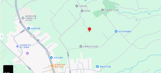 南投拍賣農地-13