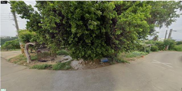 名間建地法拍-12