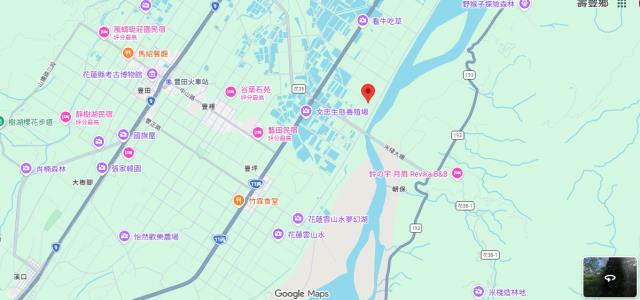 壽豐拍賣農地-6