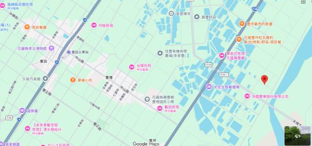 壽豐農地拍賣-13