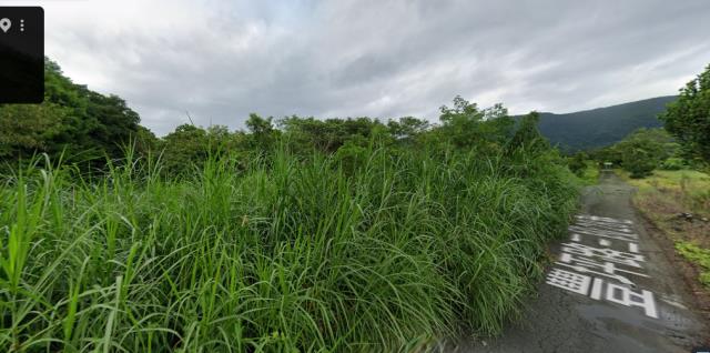 壽豐農地拍賣-2