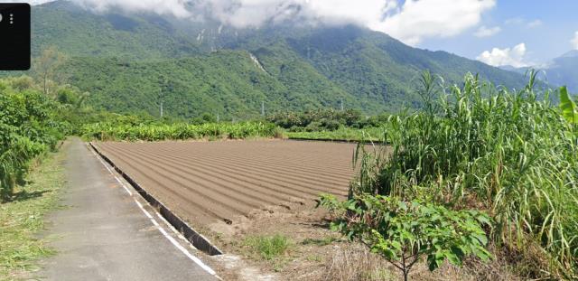 新城法拍農地-1