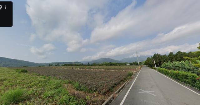 鹿野農地拍賣-2