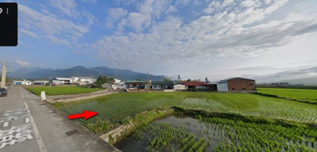 台東法拍農地-9